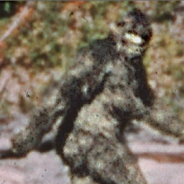 Bigfoot, JFK, And The Art Of Dissecting Video-Evidence