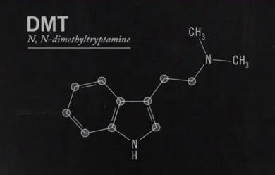 DMT's molecular structure.