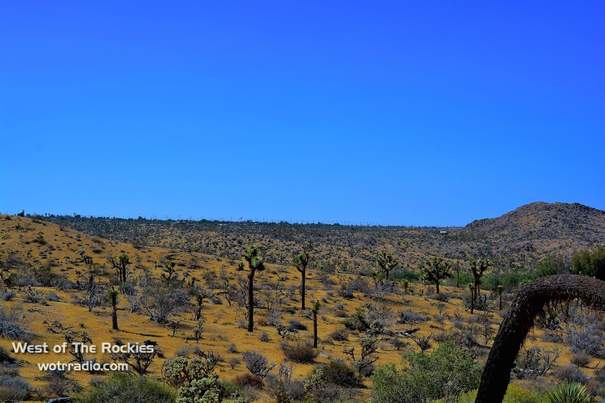 Joshua Tree National Park, home of the JTRC.