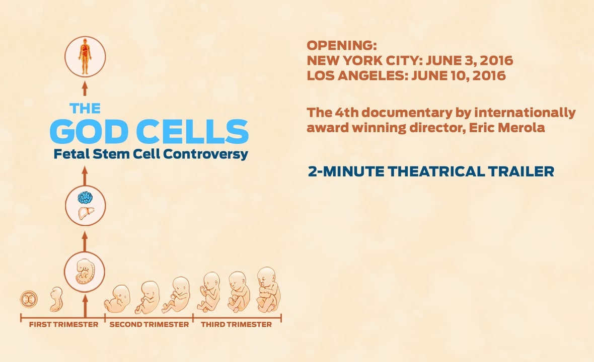 "The God Cells" documentary is available to order on Amazon .