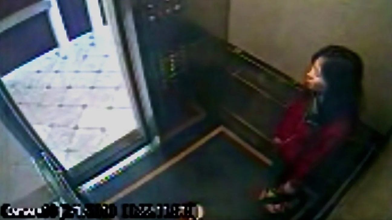 Surveillance camera footage released by the LAPD shows Elisa Lam in one of the Cecil Hotel's elevators -- this was her last known sighting.
