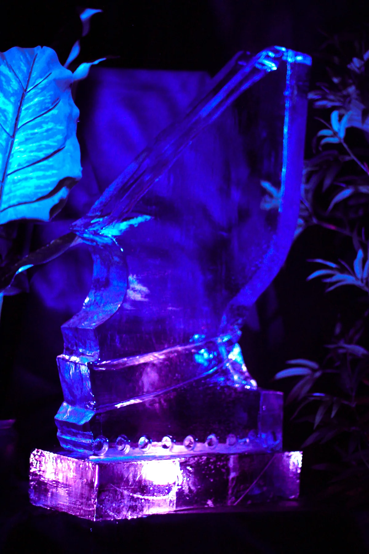 Ice Lab, Signature Luge