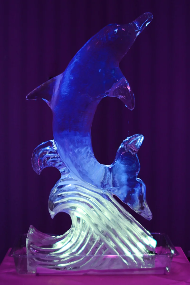 Ice Sculpture Dolphin Tysons Corner Virginia