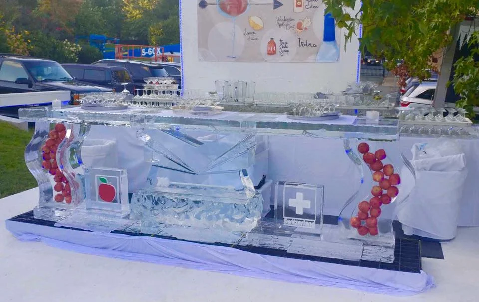 Embassy of Switzerland Ice Bar