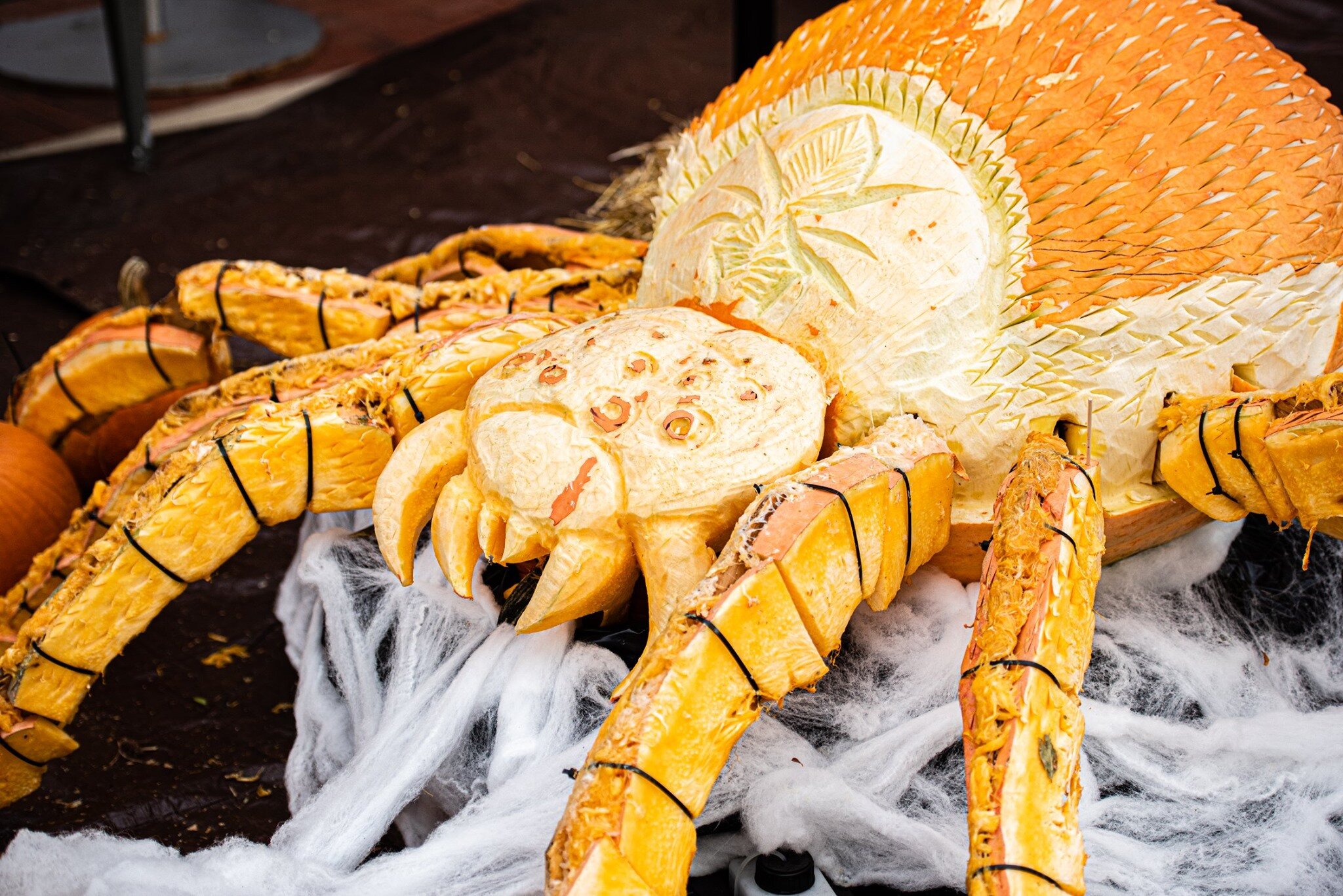 Maryland Pumpkin Carver