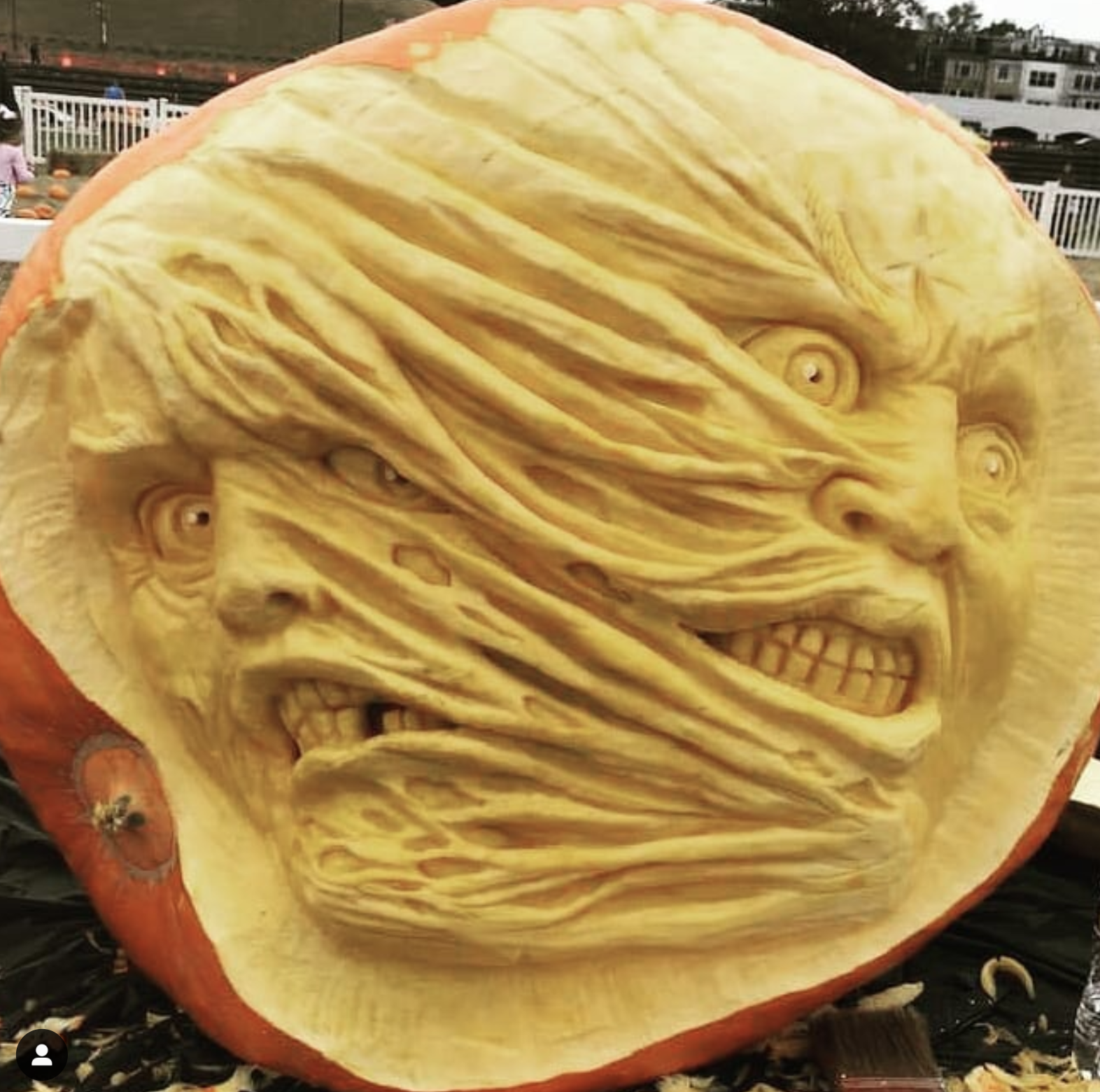 Pumpkin Lab Sculpture