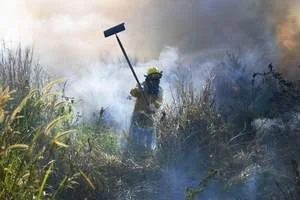 Above: "Firefighter Roland Alcantra prevents a fire in Talofofo from spreading by snuffing out the flames. Yesterday, firefighters dealt with several small grass fires in Talofofo and Inarajan. Smoke from an Inarajan fire filled Inarajan Middle School, leading Department of Education officials to close the school early. Sean-Michael Davis/For Pacific Daily News"