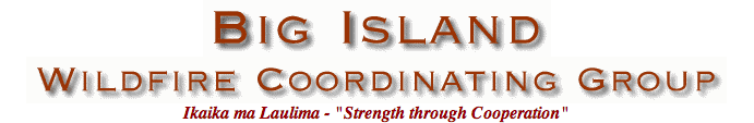 Big Island Wildfire Coordinating Group (BIWCG)
