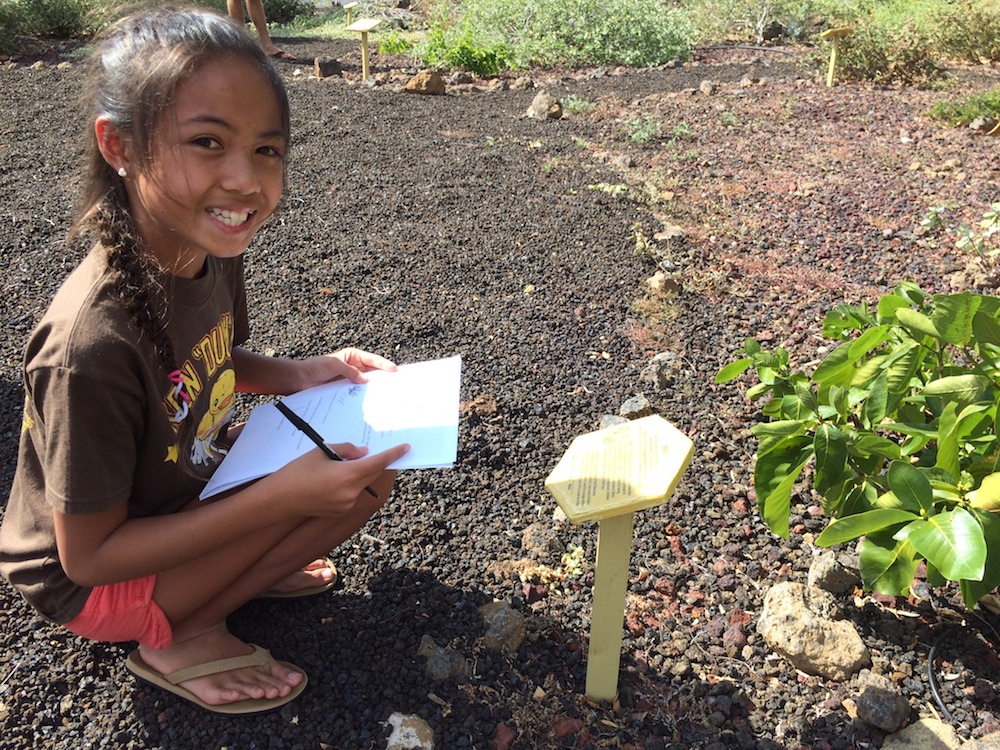 Learn about Hawaii's native plants and how they can protect your home from wildfire.