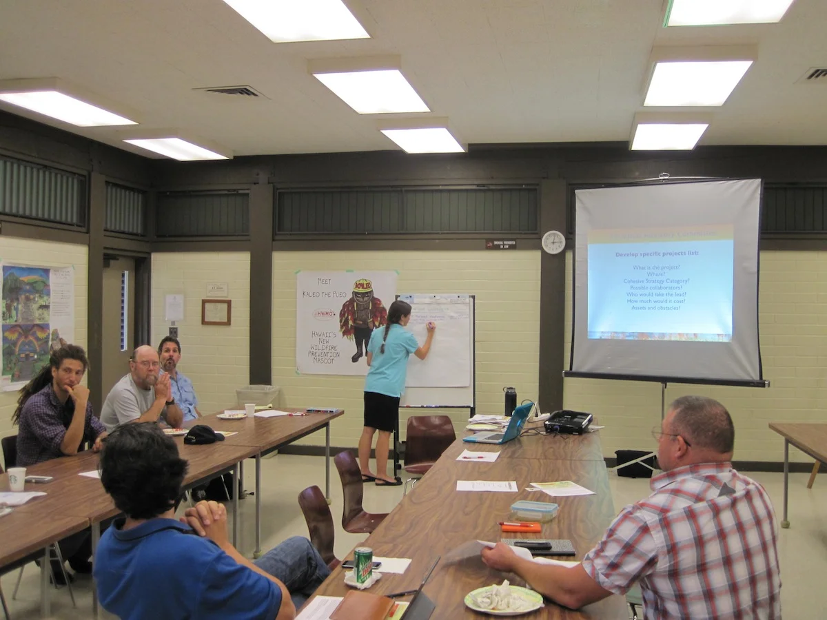 HWMO Technical Advisory Committee members add to the "dream projects" list.