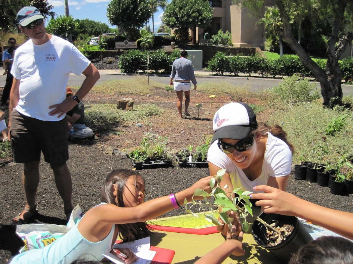 Getting a feel for kuluʻī and its heat-resistant silvery leaves.
