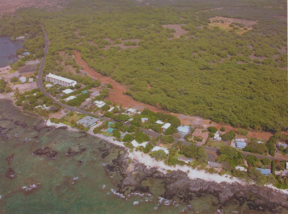 Puako Community Fuelbreak protects 3-miles of homes and precious coastline - a feeding grounds for the honu (Hawaiian sea turtle).
