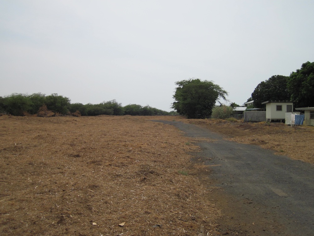 The homes on the right now have a buffer of at least 100 feet from the tall kiawe forest. Although mulch is flammable, chipped wood is the least hazardous of mulches and makes for an easy fire to put out (rather than in the canopy of trees which requires expensive air support).