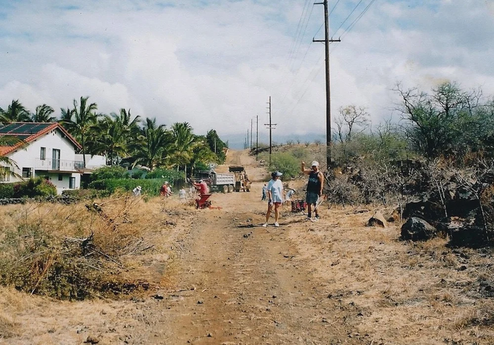 Previously, invasive dry grasses and brush ran right behind homes, a product of years of drought and subsequent wildfires that made it nearly impossible for less fire-prone native species to recover and repopulate the areas. 