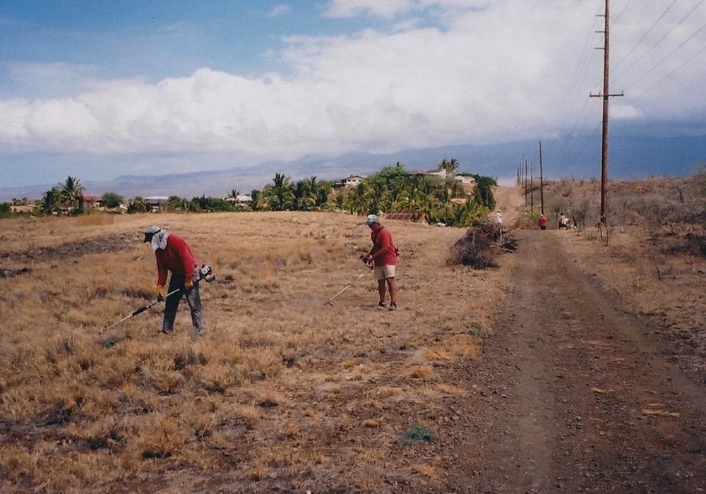 ...and weeding large tracts of land along the break.