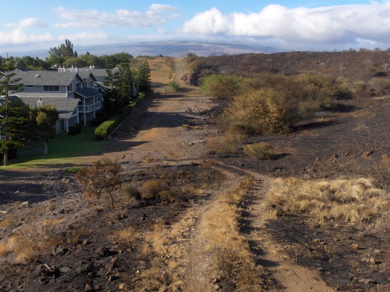 Here's another photo of the 2005 fire that burned right to the edge of the fuelbreak. 