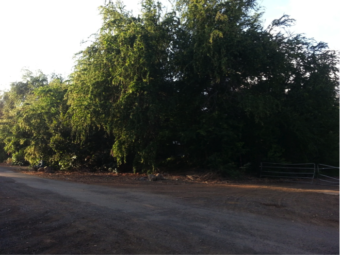 South End - Before