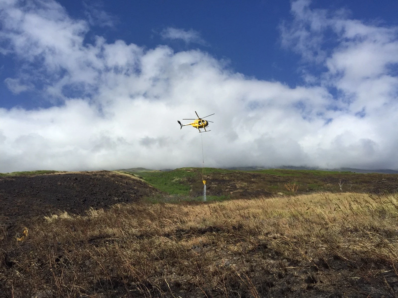 Credit: KITV4