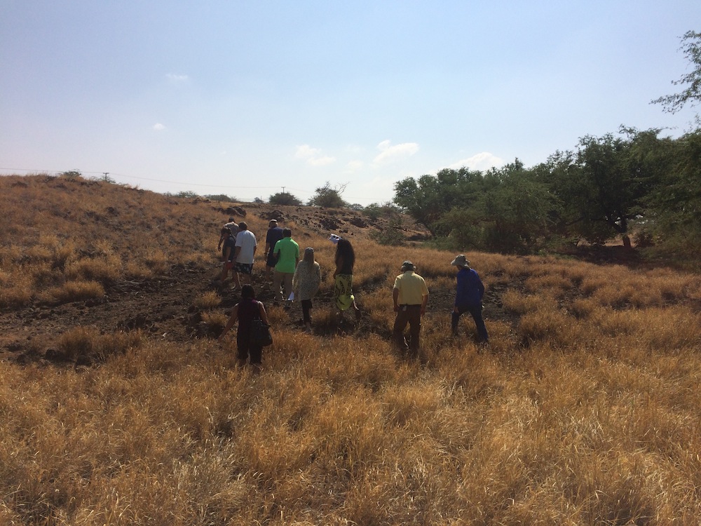 Group of community members, HWMO reps, and State Parks officials tour the area to examine potential project opportunities.