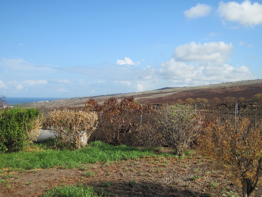 Kawaihae Fire on August 2015 threatened Kailapa, located further back (north) in the photo.