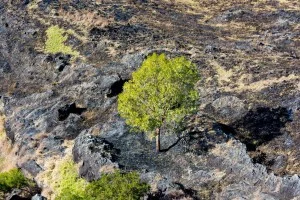 Kahikinui fire as of February 18, 2016. Credit - Ryan Piros