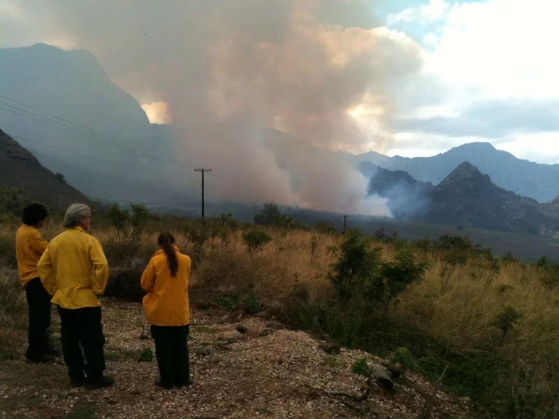 Three DOFAW firefighters watch as smoke billows from a distance. Credit: DOFAW.