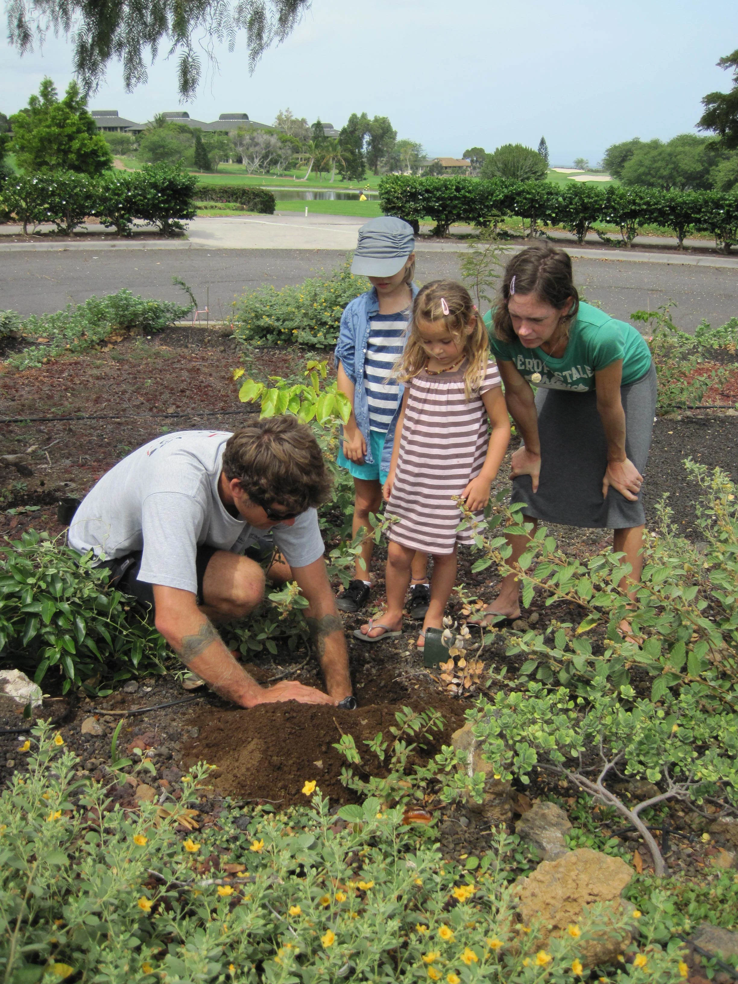 Help us get new starts in the ground this Saturday! Bring the whole ʻohana!