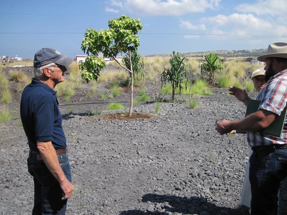 Frank Sayre (HWMO Board Director - left) listens in as Mark Thorne (HWMO President-right) speaks to Calley ONeill (HCC Palamanui Landscape Designer)