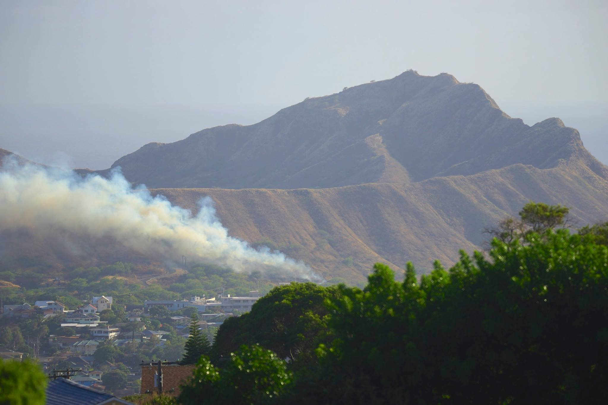 Credit: Iris Takahashi / special to Hawaii News Now