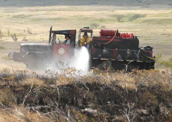 "Parker Ranch Firefighters douse hotspots on a brush fire makai of Hwy 190 on Sunday afternoon. (Laura Shimabuku/West Hawaii Today)"