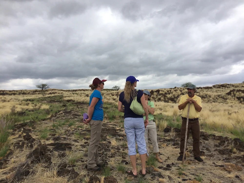 HWMO representatives discuss options for fountain grass removal with Jen Lawson (left).