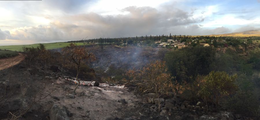 Credit: Maui Fire Department