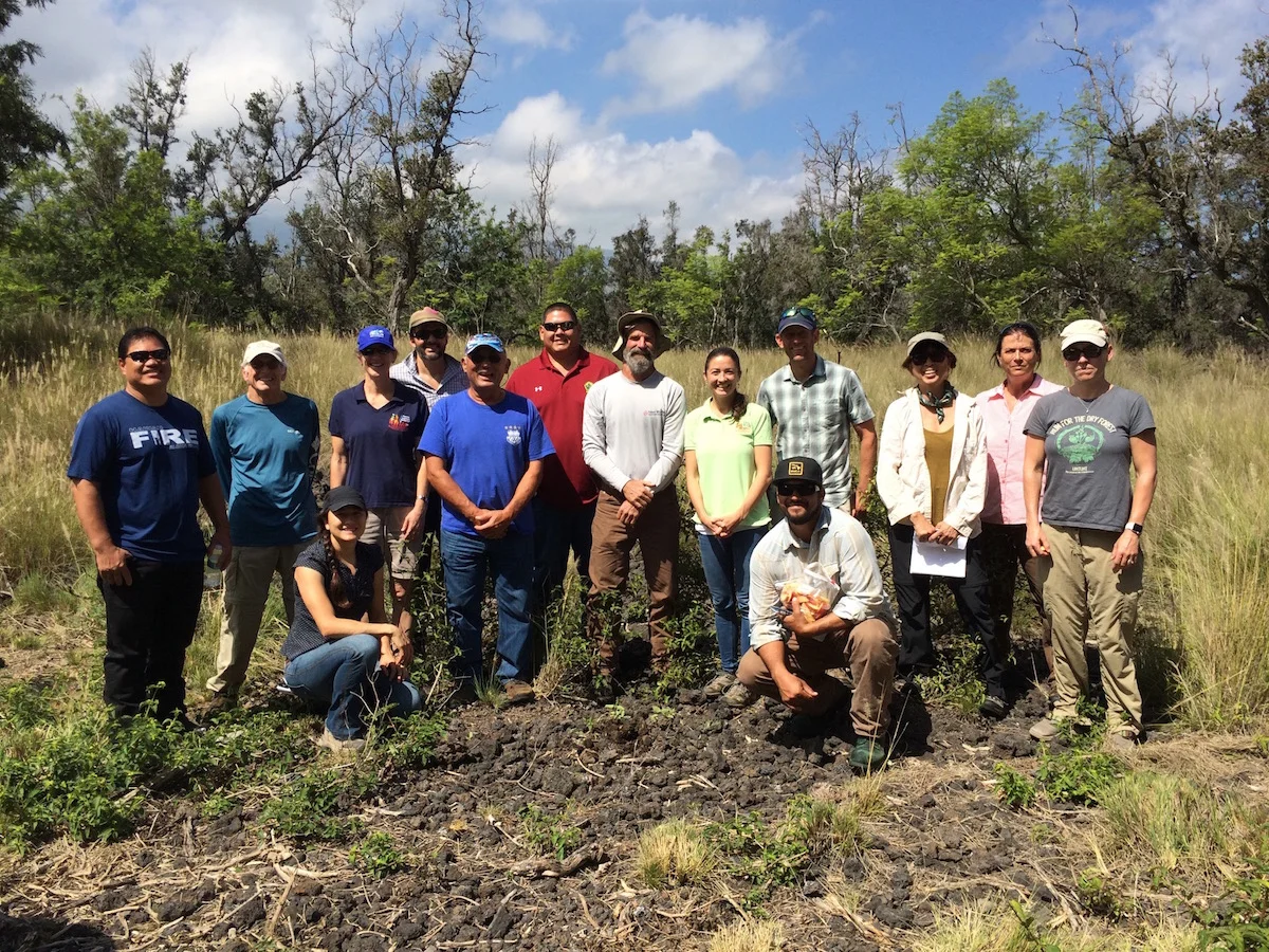 HWMO's staff, Board of Directors, and Technical Advisors with DLNR DOFAW and adjacent land managers.