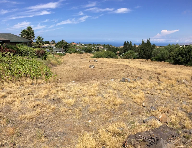 A Waikoloa Village interior lot that the WVA recently created a fuelbreak for to protect neighboring homes.