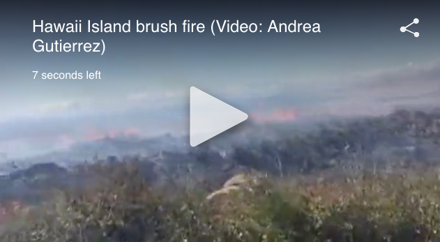 KHON2 Video Screen Shot