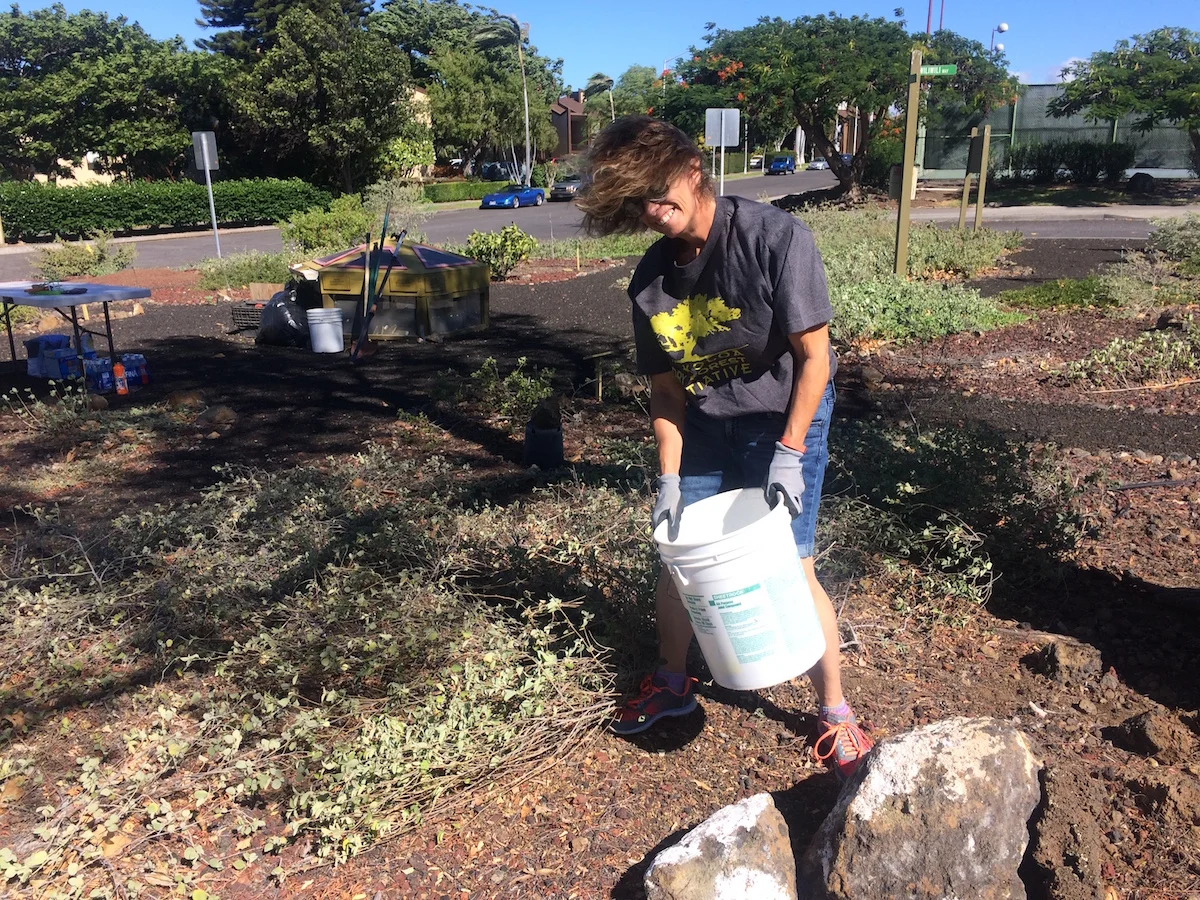 WVA Board President, Amy Swan, endures the high winds of Waikoloa to clear debris from the garden.