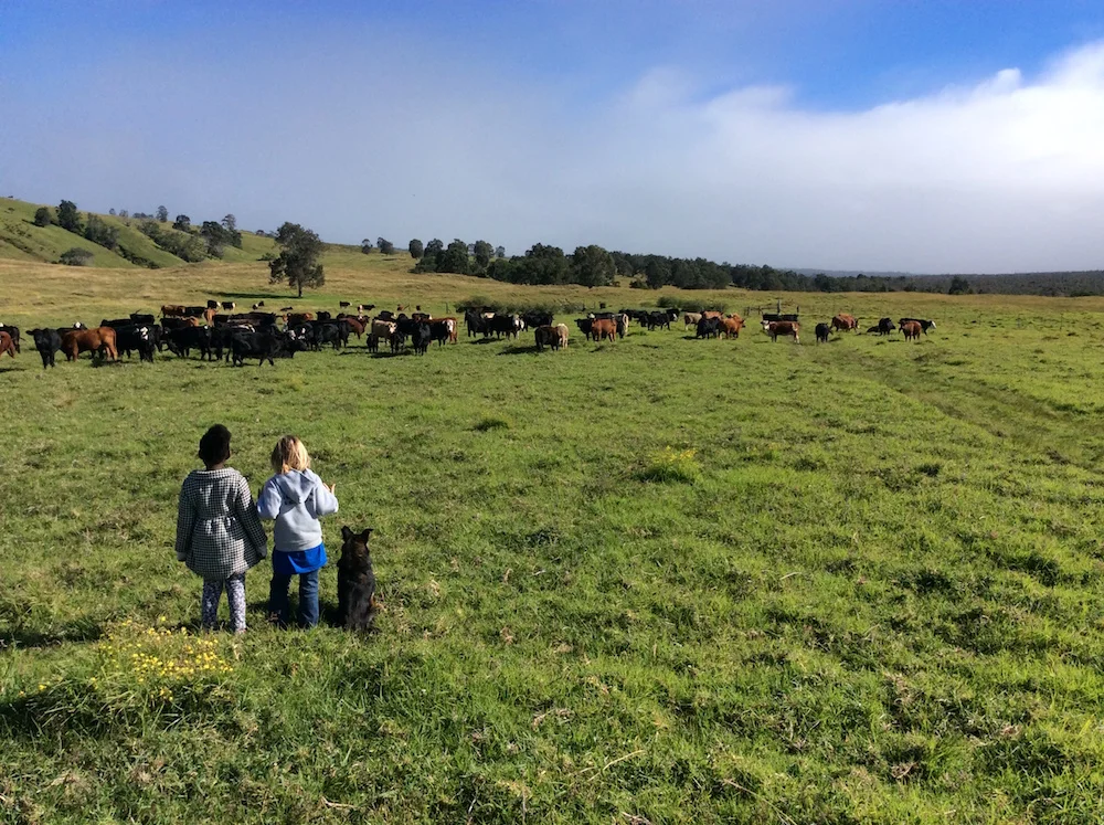 Future rangeland managers?