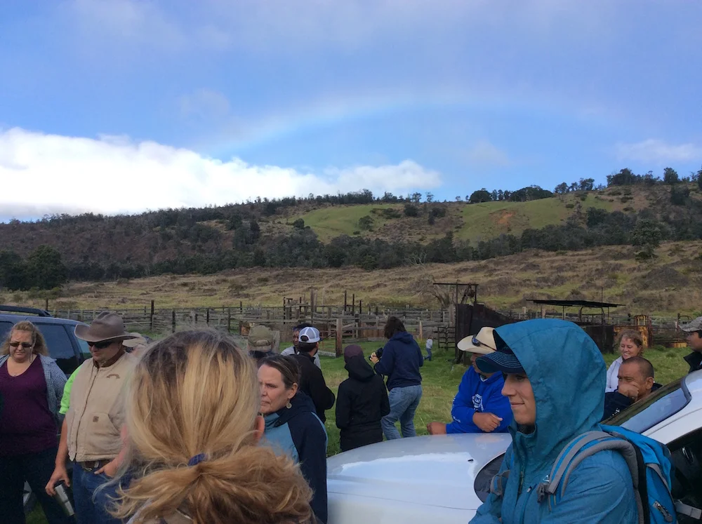 Morning rainbow to kick off the field tour of Kapapala Ranch.