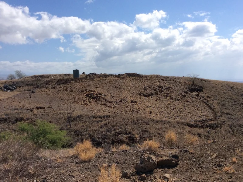 Living fuelbreak that was created in the spring of 2016 using U.S. Forest Service WUI grant funding through HWMO.