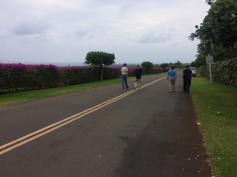 Assessment team walking along a road to assess wildfire risks/hazards.