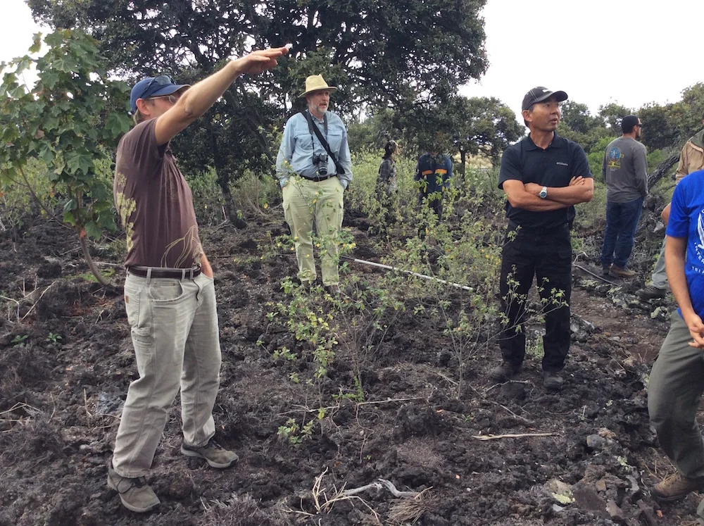 Field tour participants awestruck by the thriving native forest at Kīpuka Oweowe.