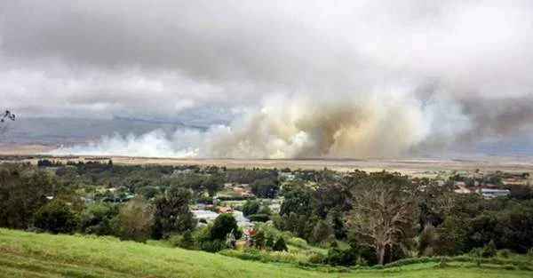 Credit: Hawaii Tribune Herald