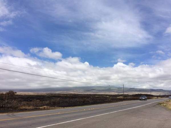 "Land is visibly charred near Highway 190 in Waimea Saturday. Friday's runaway brush fire Friday burned 2,200-acres, destroyed a home and closed the highway for several hours." Credit: Tom Callis / Hawaii Tribune Herald