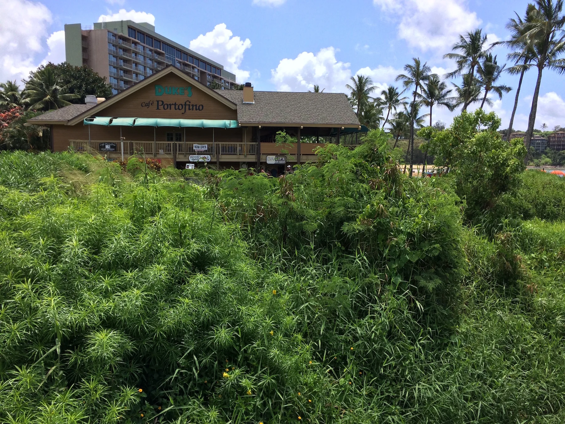 Presenting at Duke's with a reminder that vegetation in the forefront can be flammable especially during drier days in Lihue.