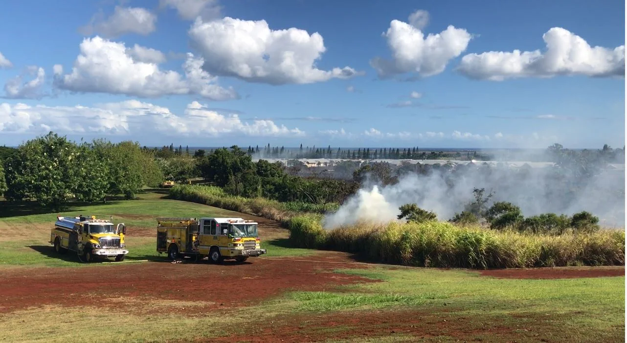 "HFD responds to an area near the Patsy Mink Park." Credit- Hawaii News Now