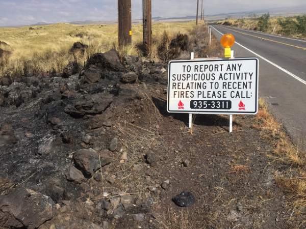 "Officials asked for the public’s help to end a string of suspicious fires in North Kona and South Kohala in 2016." Credit: State Department of Land and Natural Resources