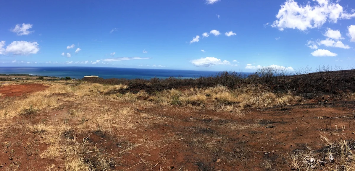 May 2017 Waimea Canyon fire aftermath.