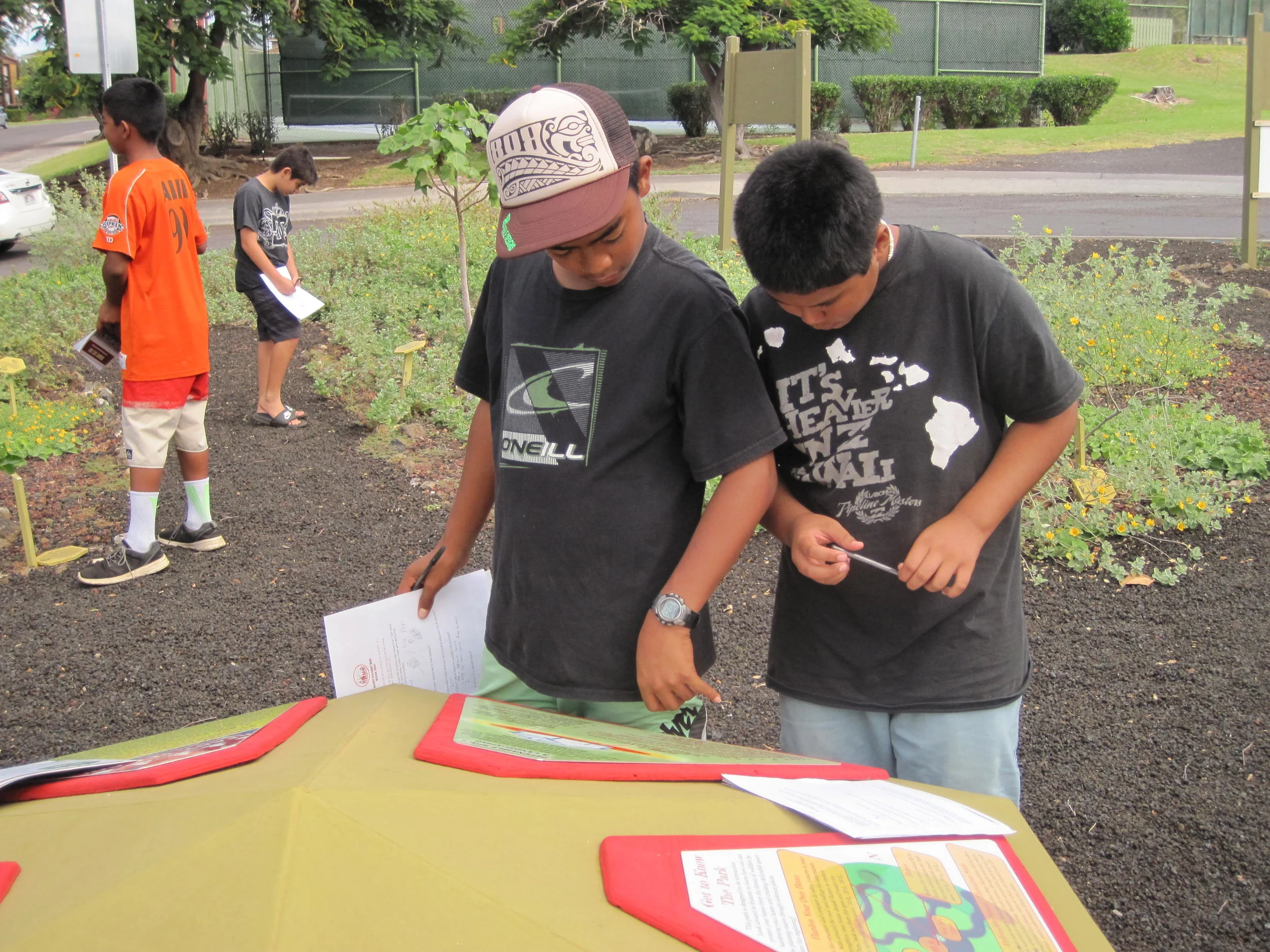 HWMO is in discussions with the Waiʻanae Library about creating a Firewise garden much like the one in Waikoloa Village.