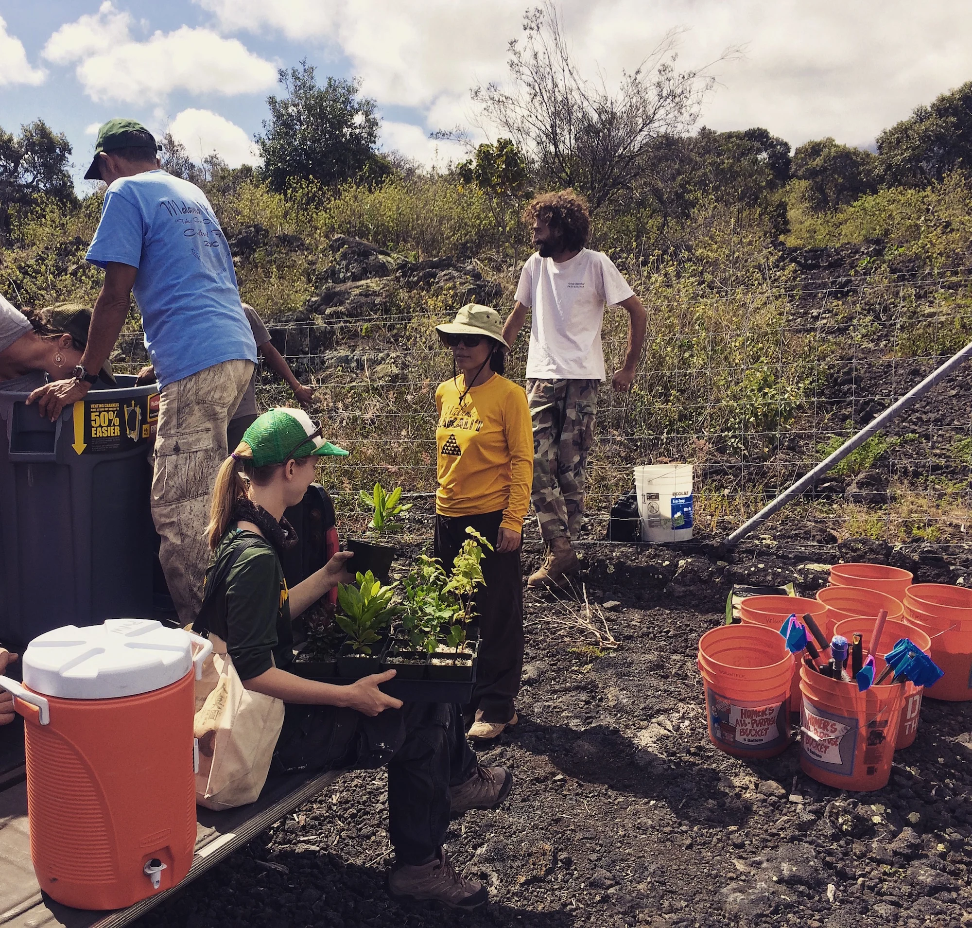Preparing plants and field equipment for a day of planting and wildfire discussion at Kipuka Oweowe in Puʻuwaʻawaʻa.
