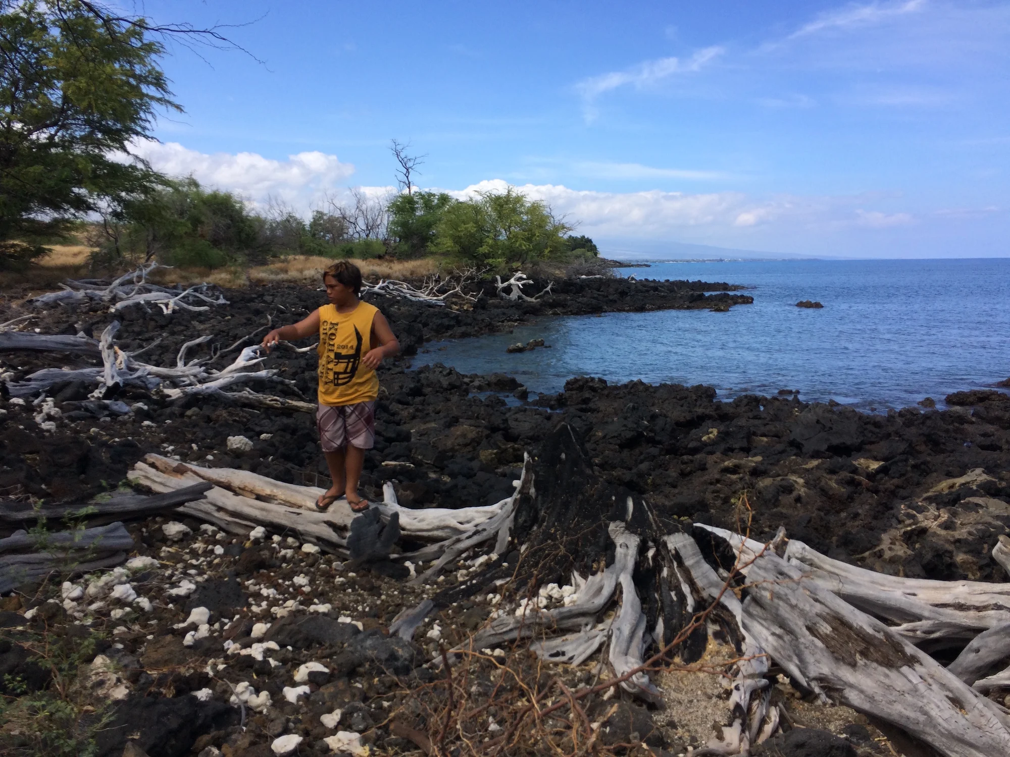 Ocean Warrior scanning area for clues to previous fires, including charred tree stumps.
